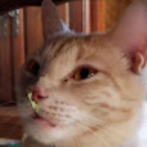 Meet your Posher, Robyn